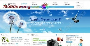 數碼產品代理公司網頁模板免費下載，HTML+CSS格式，設計編號15274638，千圖網優質資源